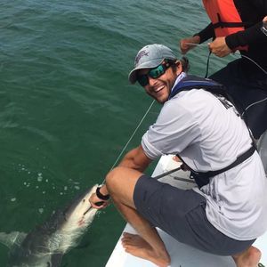 Meet your Posher, Nick